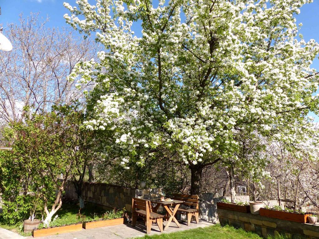Green Stone Boutique Hotel Yeghegnadzor Extérieur photo
